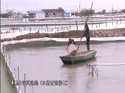 武進新聞