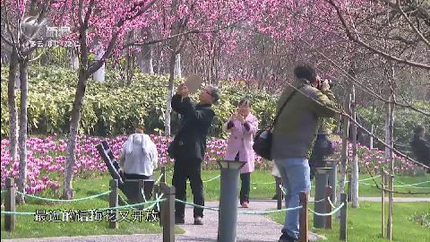 武進(jìn)新聞