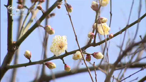 武進新聞