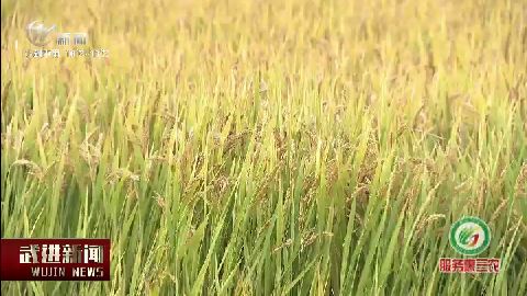 武進(jìn)新聞