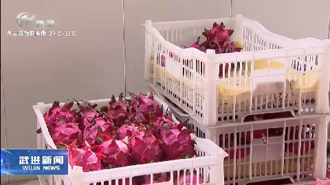 武進(jìn)新聞