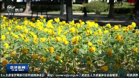 武進新聞