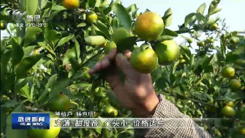 武進新聞