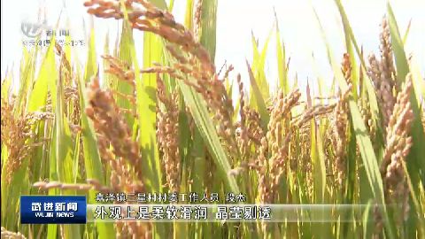 武進(jìn)新聞