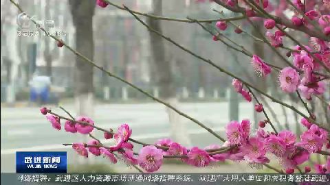 武進(jìn)新聞