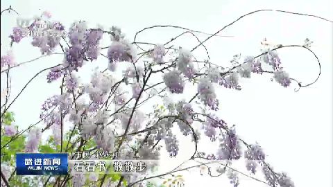 武進新聞