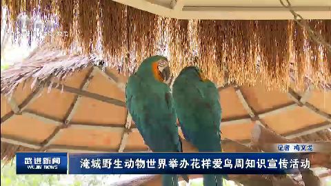 武進新聞
