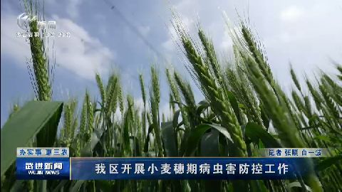 武進新聞
