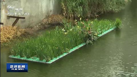 武進(jìn)新聞