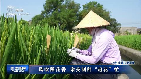 武進(jìn)新聞
