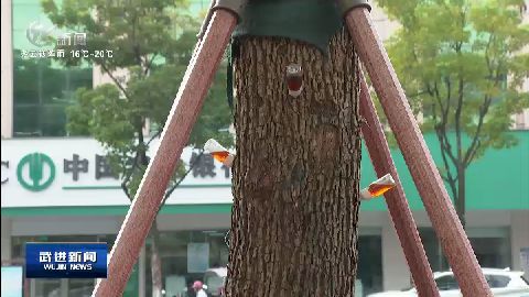武進新聞