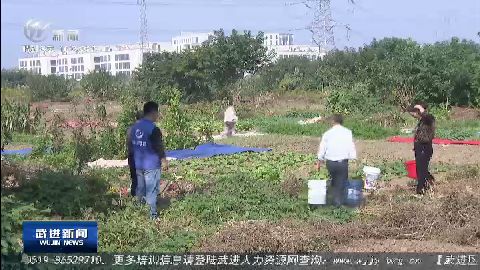 武進(jìn)新聞