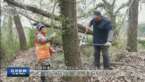 武進新聞