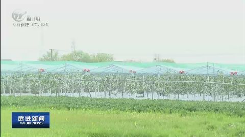 武進新聞