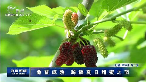 武進新聞