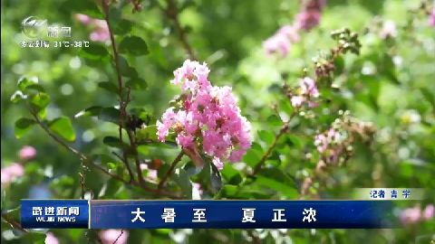 武進新聞