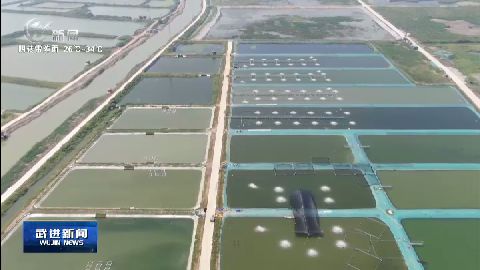 武進新聞