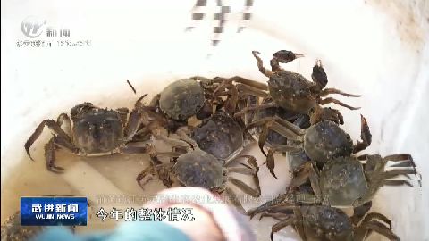 武進(jìn)新聞