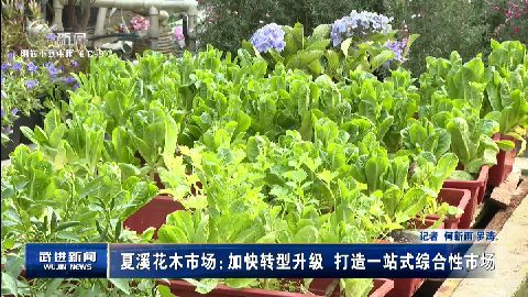 武進新聞