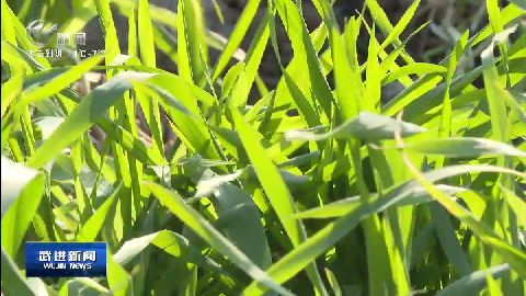 武進(jìn)新聞