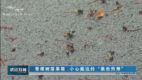 武進(jìn)新聞