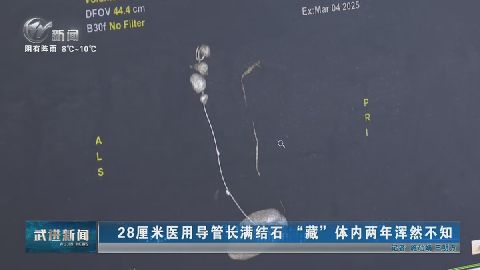 武進(jìn)新聞