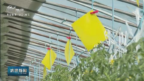 武進新聞
