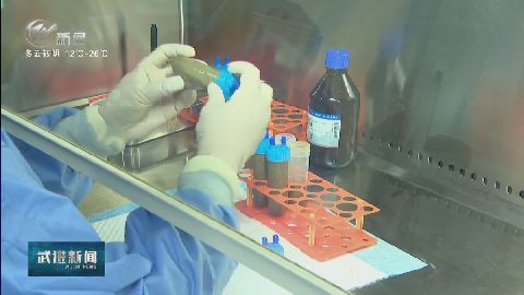 武進新聞