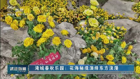 武進(jìn)新聞