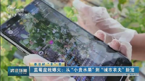 武進新聞