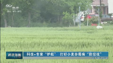 武進(jìn)新聞