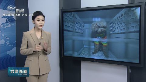 武進(jìn)新聞
