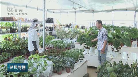 武進新聞