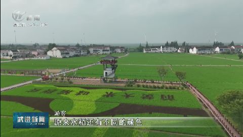 武進(jìn)新聞