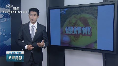 武進新聞