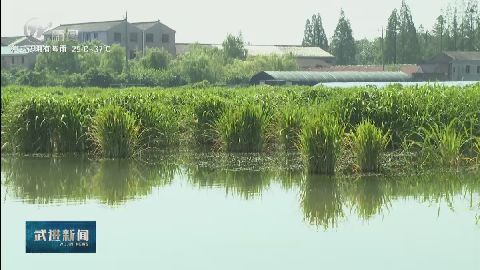 武進(jìn)新聞
