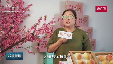武進新聞