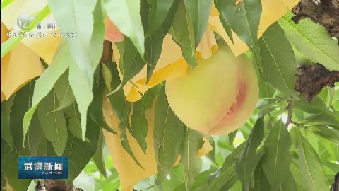 武進(jìn)新聞