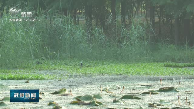 武進(jìn)新聞